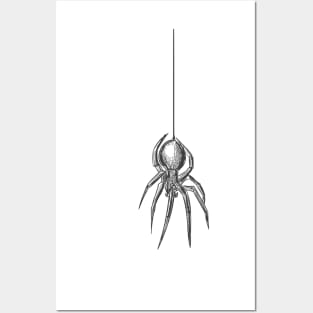 Spider Posters and Art